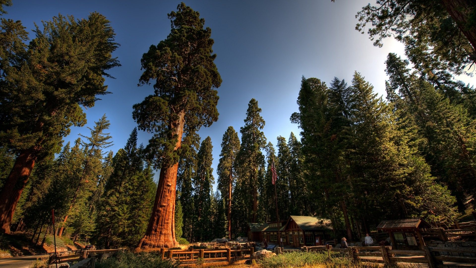 Redwood National Park